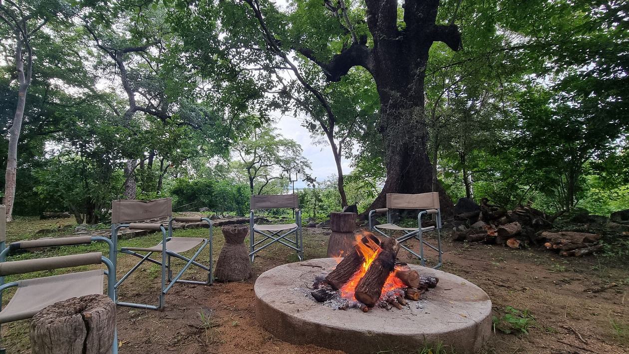 A fire pit and chairs sit beneath a giant tree at Chimwala Camp, Liwonde National Park