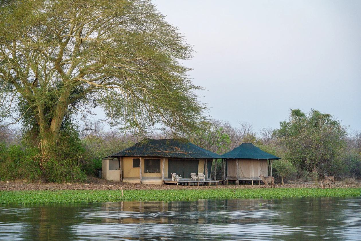 Zwei Safari-Zelte am Fluss mit weidenden Wasserbocken in Kuthengo Camp in Liwonde