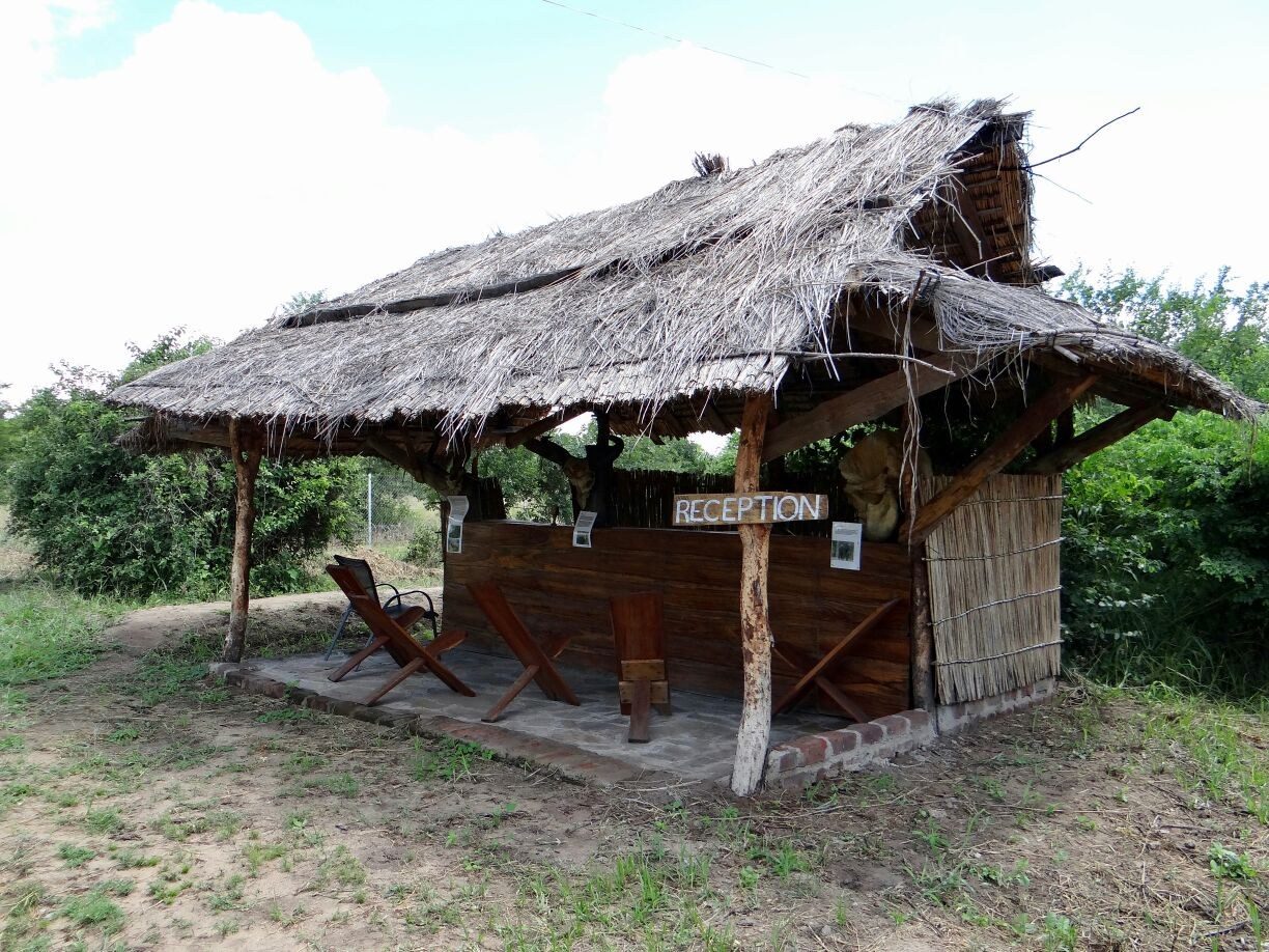 Thatched reception shelter with wooden lounge chairs at Shire Eco Safari Camp in Liwonde