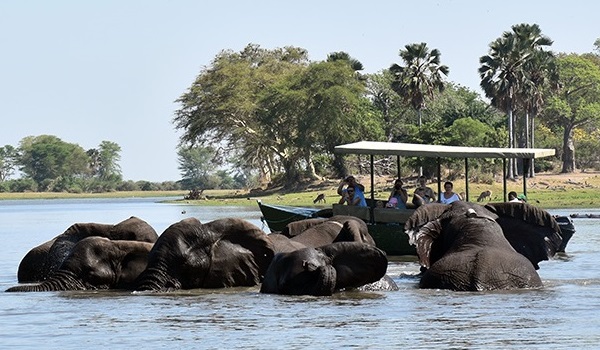 Boat Safari Liwonde