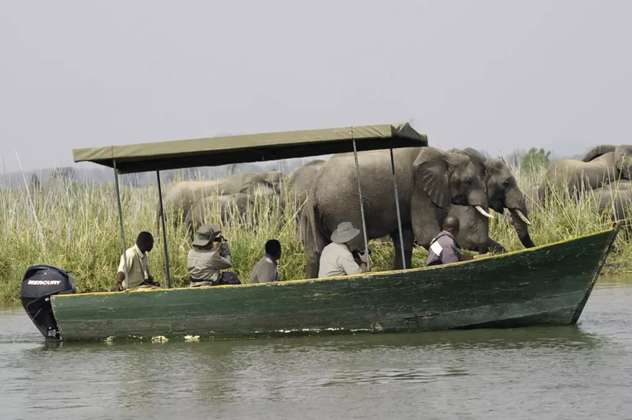 Boating Liwonde National Park