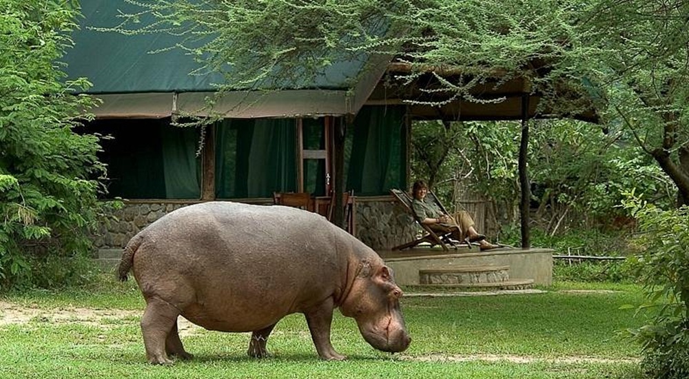 Mvuu Camp Liwonde Malawi